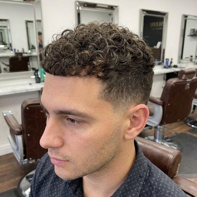 Low Taper With Curly Hair Crop Textured