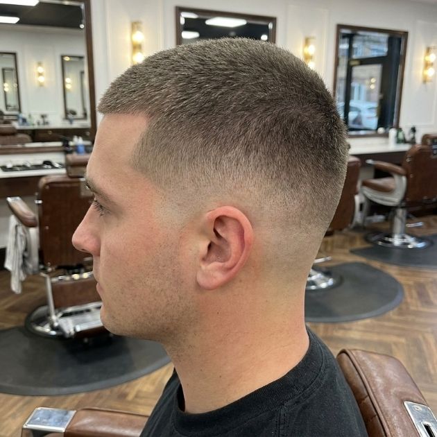 Professional Low Taper Buzz Haircut